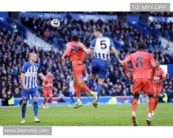 2018年英超精彩对决布莱顿主场迎战埃弗顿球队表现分析与赛后点评