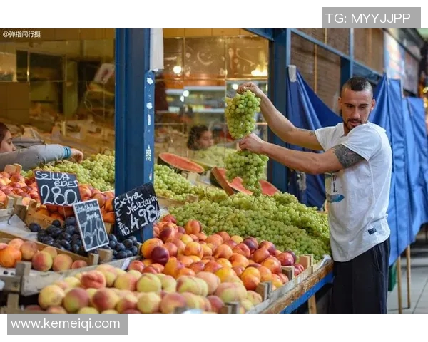 匈牙利与比利时精彩对决集锦回顾足球盛宴瞬间