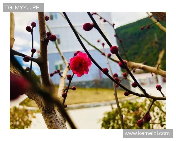 东京五梦与东京卓越的精彩对决谁将赢得最终的荣耀与胜利