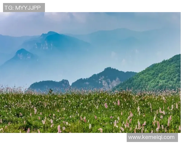 CBA山西对阵浙江精彩直播全程回顾与赛后分析