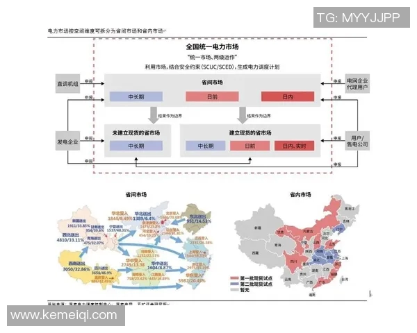 上海羽毛球队的转型之路:深度解析与未来展望 上海羽毛球队的转型之路:深度解析与未来展望